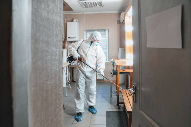 Mold Documentation for Insurance Claims in Capac, MI