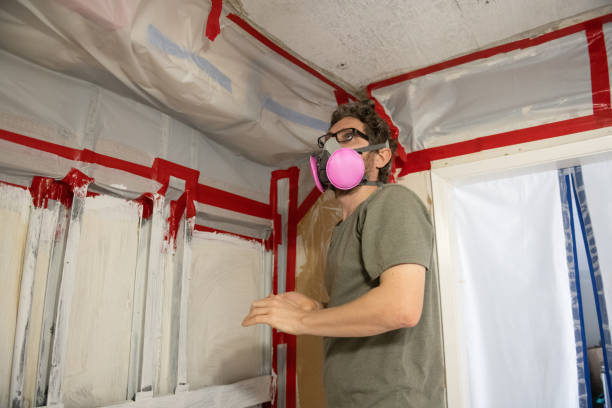 Best Airborne Mold Testing  in Capac, MI