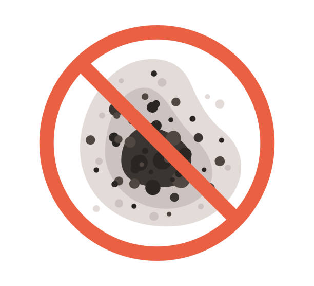 Best Mold Remediation for Healthcare Facilities  in Capac, MI